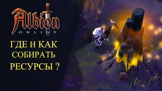 Albion online : ГДЕ И КАК СОБИРАТЬ РЕСУРСЫ ?