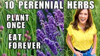 TOP 10 BEST Perennial Herbs To Grow in November, Plant Once, Harvest Forever