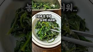 1년에 단 한번 ! 지금 놓치지 말고 꼭 드세요