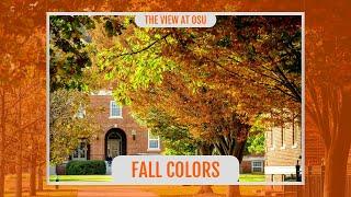 The View at OSU: Fall Colors