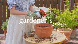 My Sweet Garden Obsession  In and Out All Day Long