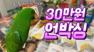 [지구젤리/언박싱] 또 30만원치 질렀다! 펠렛, 간식, 장난감 등등 언박싱!