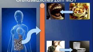 Magen-Darm-Trakt 1/2