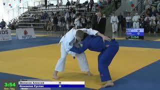 73 kg Шелихов А Исмаилов Р 09 04 2016 Т2 Открытый турнир Крымская весна, АРТЕК 2016