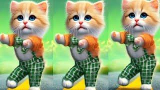 Funny dancing cats :Funny Videos #catvideos #dancingcat #viral videos #cats