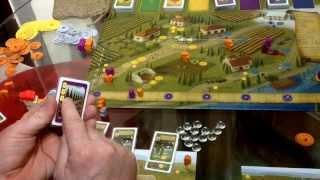 A Taste of Viticulture - a simple rules overview