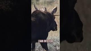 Growing Up in Alaska #nature #survival #industrialmarketing