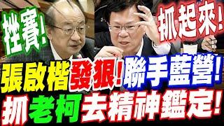 張啟楷對老柯番顛發狠了！聯手藍營抓柯建銘去精神鑑定！老柯慌了～竟扯黃國昌、傅崐萁！眾人傻眼！立法院黨團協商 #藍白合