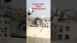 ustad zaid talim. Mohammad.Rashid