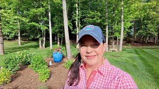 Creating a Beautiful Shade Container for the Signature Garden