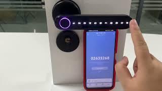 Tuya smart bluetooth handle door lock