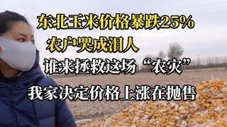 已经确定东北玉米暴跌25％，农民疯狂抛售，去年1.1左右现在8毛左右，我家决定等价格回暖在卖吧！也有可能继续跌！我们该怎么办呢，种地的东北农户咋办啊！