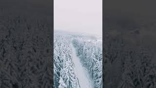 Winter Landscape With A FPV Drone