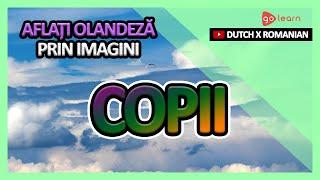 Aflați Olandeză Prin Imagini |Vocabularul Olandeză Copii | Golearn