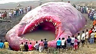 20 Unsolved Mysteries That Cannot Be Explained