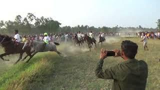 Mathurapur Baba Barkhan Gaji Horse Race #horseracing #viral #2023 #subscribe @timirbaranmondal