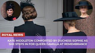 Kate Middleton comforted by Duchess Sophie as she steps in for Queen Camilla at Remembrance