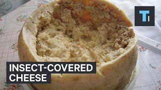 A cheese scientist tells us the cheese he would never eat