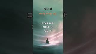 제30수행 깨침의 별빛, 법구경 #명언#불교명상 #좋은글
