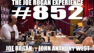 Joe Rogan Experience #852 - John Anthony West