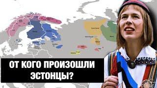 ЭСТОНЦЫ - "БАЛТИЙСКИЕ ТИГРЫ". ПОЧЕМУ ОНИ ТАК УСПЕШНЫ???