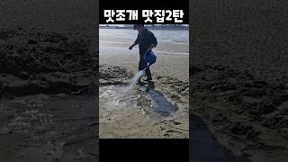 물조리개 바닷물 뿌렸더니 맛조개 미친듯 올라온다고! #shorts