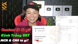 Làm YouTube Kiếm Tiền Có Cần Vào Network Không?