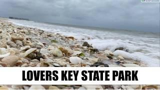 Florida virtual shelling. Lovers Key State Park is open after Hurricane Milton.