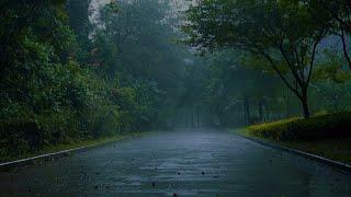 【Soothing sound of rain】The sound of thunder and rain in the woods makes people relax and sleep