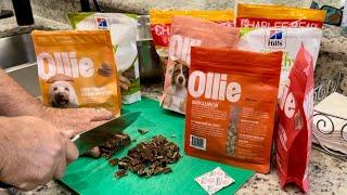 Lagotto Romagnolo Premium Dog Treats