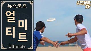 [3분 체육-영역형경쟁] 얼티미트 / 뉴스포츠 체육수업