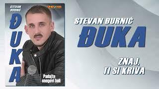 Stevan Djurnic Djuka - Znaj ti si kriva (Audio 2024)