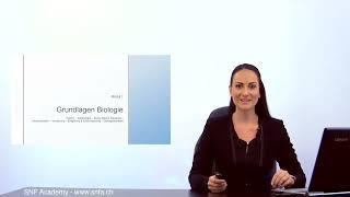 Fitness Ausbildung: Schweiz: Personal Trainer & Ernährungscoach Ausbildung - Swiss Quality SNFA