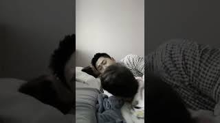 아침마다 일어나자마자 엄마빠방으로 달려은 로남매︎