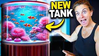 Setting Up My New Clown Fish Tank!