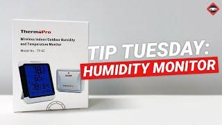 How Do I Know if My House Has Too Much Humidity