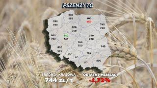 #299 agro wiadomości nonstop - 17.06.2025