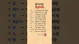 혼자서는 절대 못사는 띠 순위