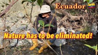 The destruction of Ecuador seems to be a priority for the older generation of locals !