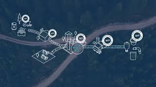 Introducing our Bornewables™ portfolio of circular solutions