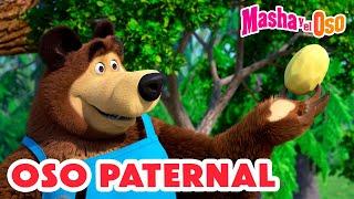 Masha y el Oso 2024 ‍️ Oso paternal  1 hora  Dibujos animados  Masha and the Bear