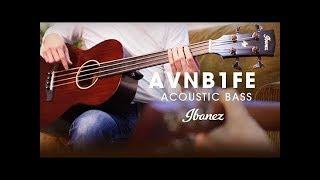 Ibanez AVNB1FE - Compact Acoustic Electric Bass (Fretless)