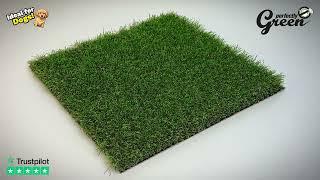 Blitz Artificial Grass for Gardens - Perfectly Green