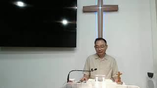 (대전산울교회) 0808 이른 아침에