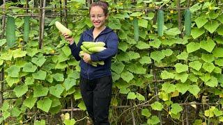 Suddenly, her husband's brother was injured and came to visit and work in the garden