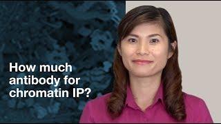 How much antibody should I use in Chromatin Immunoprecipitation (ChIP) assays? | CST Tech Tips