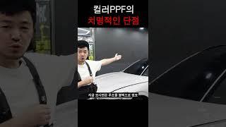 컬러PPF 정말 하실건가요?