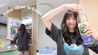 home alone in korea | 25 in a new country, getting a haircut, brunch cafe, misc snacking