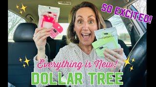 THE BEST DOLLAR TREE HAUL | You Won’t Believe Everything I Found!! SO EXCITING 