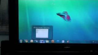 Taskbar WIndows 7